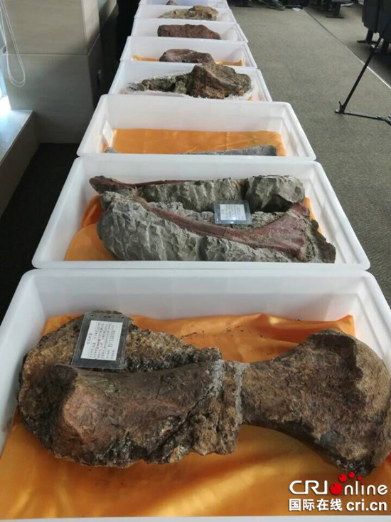 已過審【大頭條】重慶市雲陽縣發現世界級侏羅紀恐龍化石群