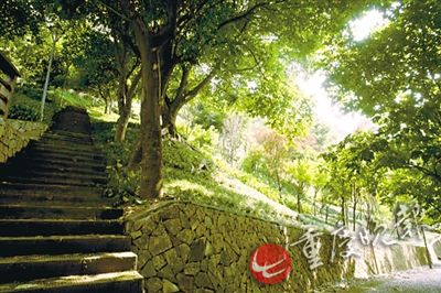 【區縣聯動】【渝中】渝中：17部扶梯相連 這條觀光道 請你走一走 【區縣聯動】渝中：這條觀光道 請你走一走 【行遊巴渝標題摘要】橫跨螺旋式隧道 17部扶梯相連的觀光道 請你走一走