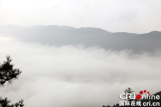 已過審【區縣聯動】【巫山】重慶巫山暴雨後望天坪驚現雲霧奇觀