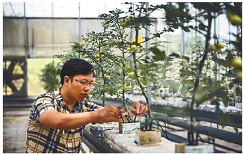 【能源環保列表】豬舍自動化喂食廢棄物100%循環利用