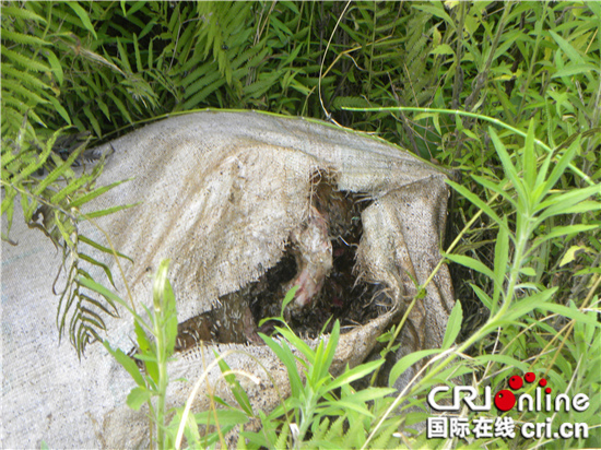 已過審【法制安全】垂釣人發現“嬰孩屍體” 民警證實是死豬