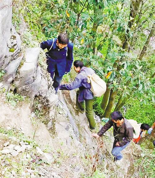 【區縣聯動】【巫溪】背土填坑 崖壁植樹 巫溪後溪河石漠化治理見成效【區縣聯動 列表】巫溪後溪河小流域石漠化治理初見成效