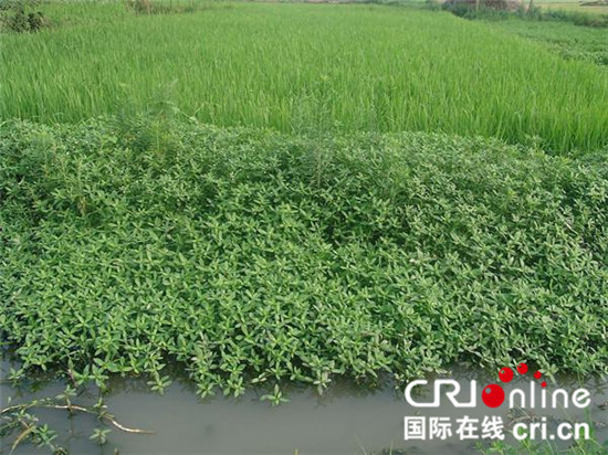 圖片默認標題_fororder_33_副本