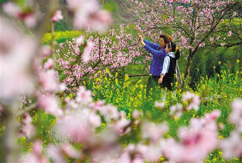 【能源環保列表】退耕還林 綠了山川富了民