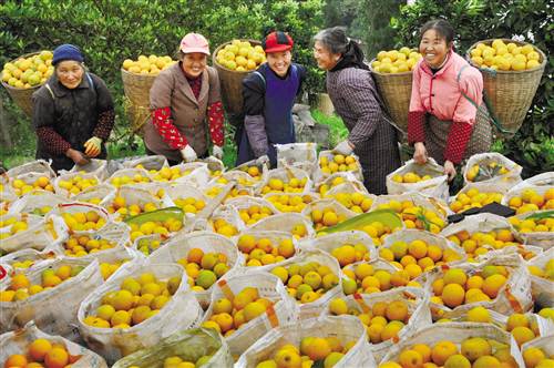 【能源環保列表】退耕還林 綠了山川富了民