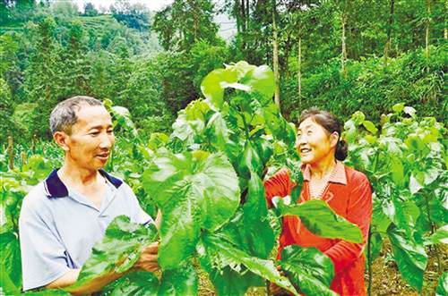 【能源環保列表】退耕還林 綠了山川富了民