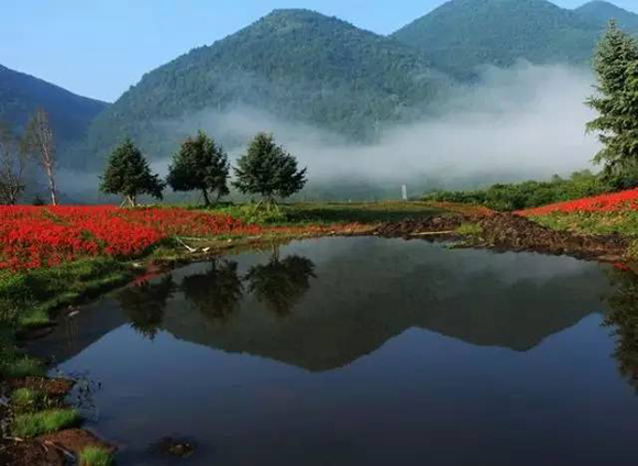 【行遊巴渝 標題摘要】有張《重慶高冷地圖》已經發佈 一起去清涼一夏
