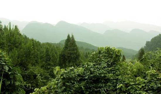 【行遊巴渝 標題摘要】有張《重慶高冷地圖》已經發佈 一起去清涼一夏