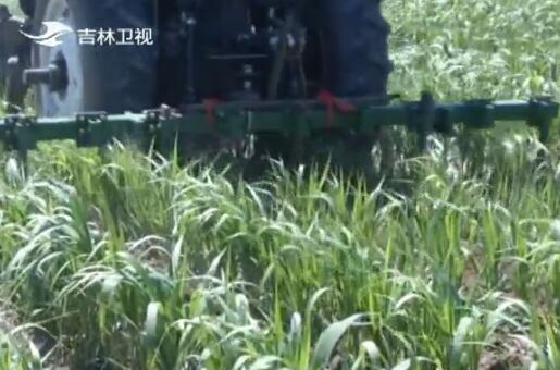 【砥礪奮進的五年】牢記囑託不負使命：全面小康 一個都不能少