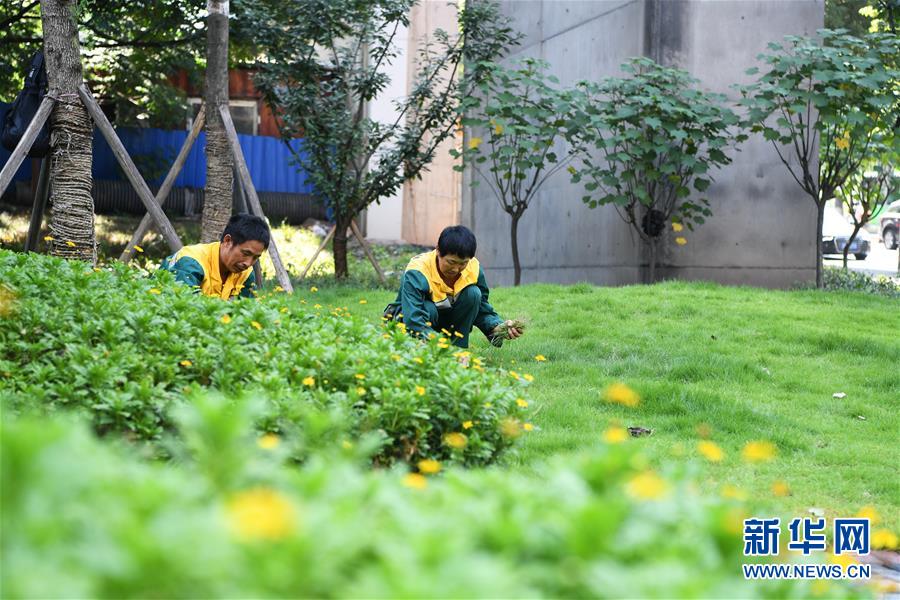 重慶江北：利用橋下空間 打造“橋下花園”