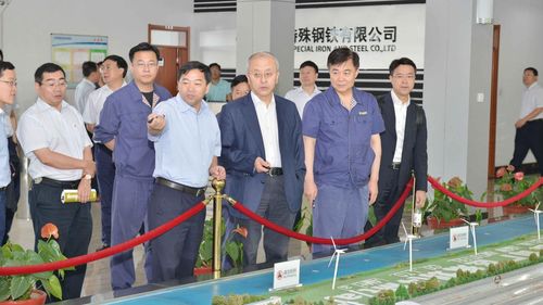 中信泰富董事長張極井到青島特鋼視察指導工作