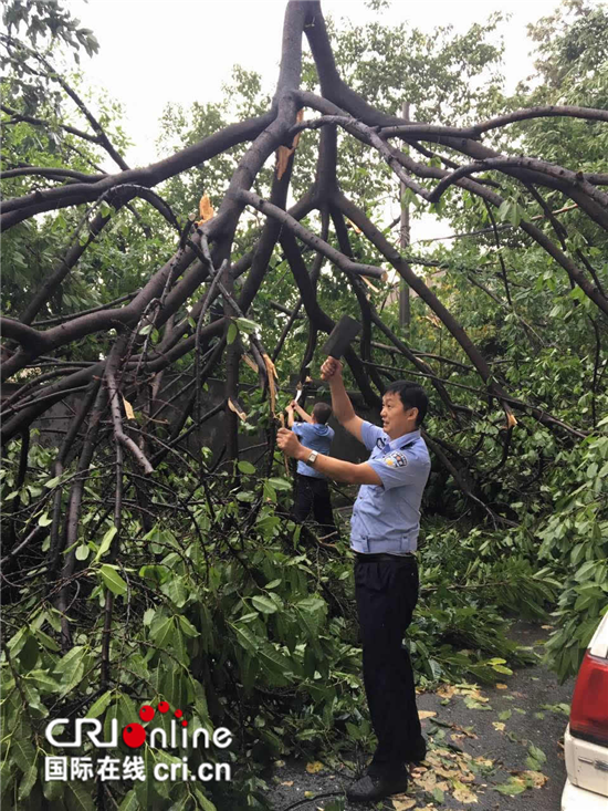 已過審【社會民生 列表】狂風暴雨來襲 重慶江北公安民警奮戰一線