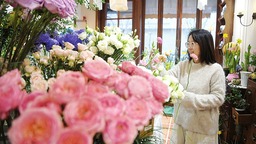 山西太原：花漾春日 消費升溫
