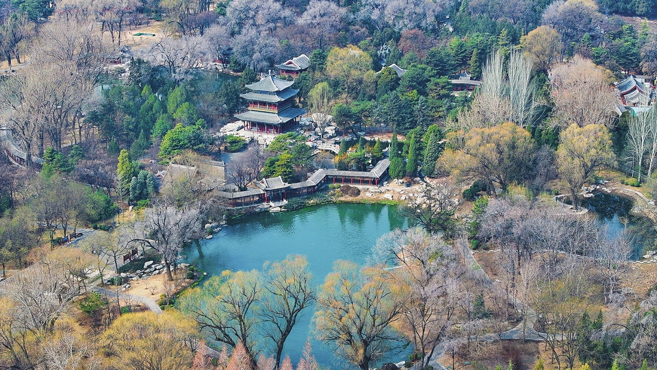 太原晉祠公園春意漸濃_fororder_d7a336a2f841a8945632eb4d572b5598