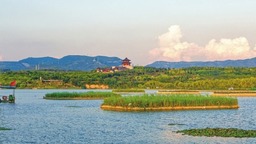 【美麗山西】護大美濕地 建和諧家園