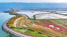 運城市鹽湖區鴨子池濕地公園成為市民休閒娛樂的好去處