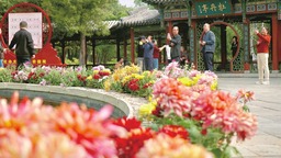 太原晉祠公園：拍照賞菊 享受秋日悠閒時光