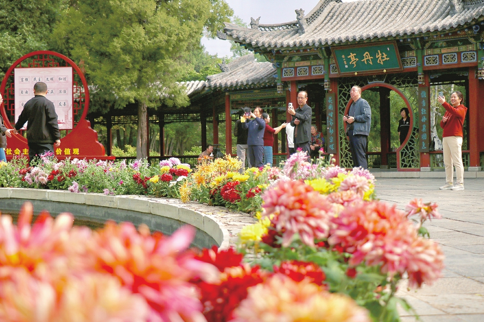 太原晉祠公園：拍照賞菊 享受秋日悠閒時光