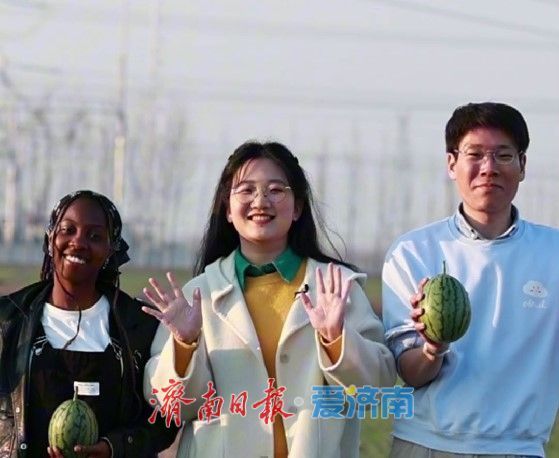 走讀山東·感知濟南 | 太平寶西瓜甜蜜上市，外國友人解鎖濟南起步區現代農業
