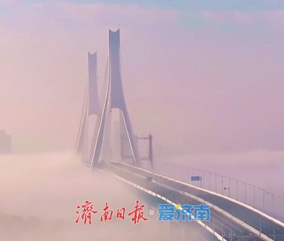走讀山東·感知濟南 | 太平寶西瓜甜蜜上市，外國友人解鎖濟南起步區現代農業