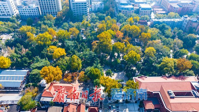百年園林景如畫:濟南中山公園開啟最美賞葉季