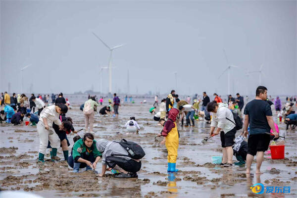 文化為魂 旅路生花——山東東營繪就文旅融合發展新畫卷