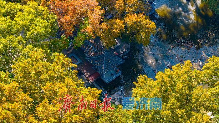 百年園林景如畫:濟南中山公園開啟最美賞葉季