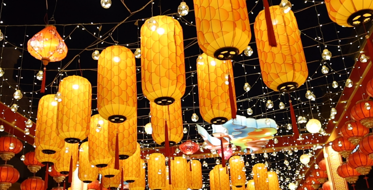 國際友人走進第九屆濟南方特新春燈會 感受花燈中的中式浪漫