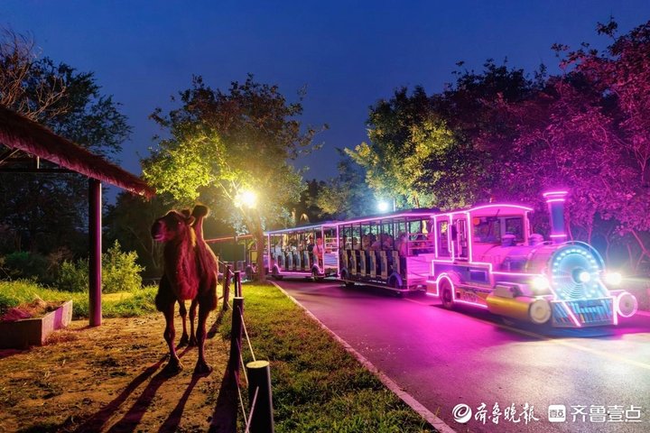 夜探“百獸秘境”!濟南野生動物世界開啟奇幻夜遊