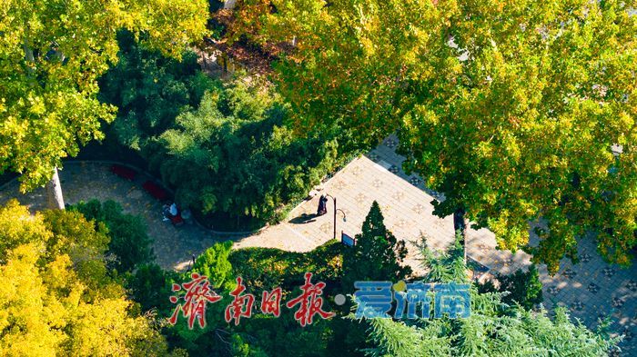 百年園林景如畫:濟南中山公園開啟最美賞葉季