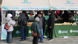 第二屆濟南特色林果嘉年華啟幕