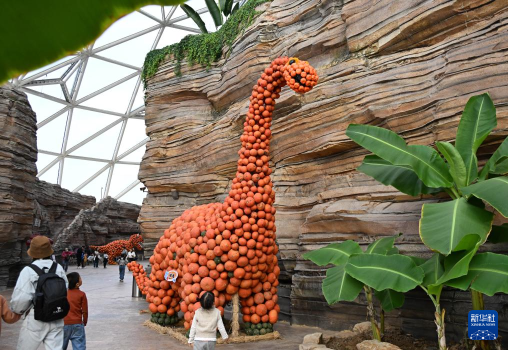 青島：“南瓜王國”吸引遊客