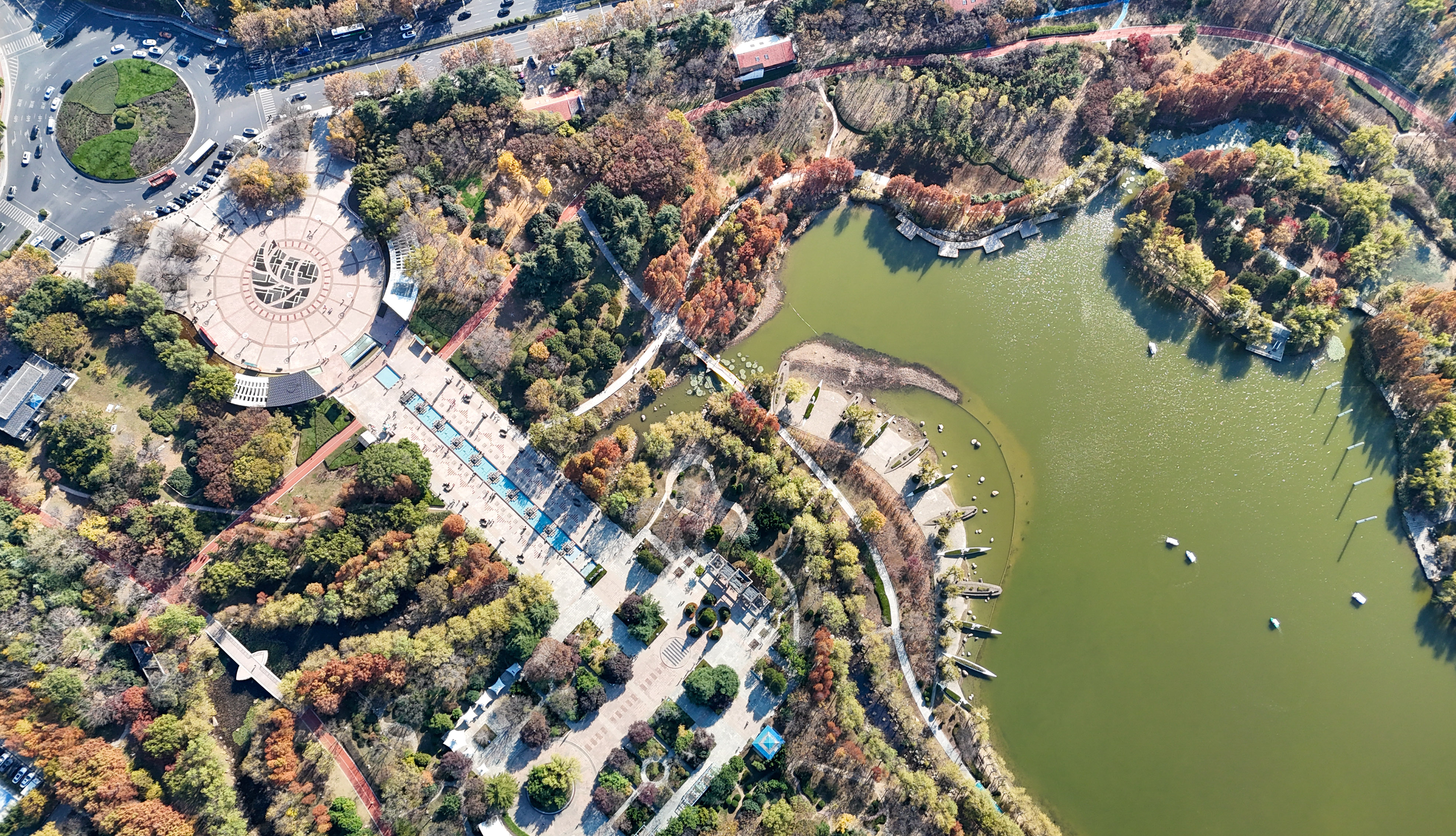 山東青島：生態持續向好 城市宜居宜遊