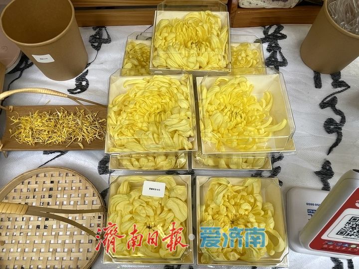 趵突泉菊展人氣旺，市集鮮食引客來