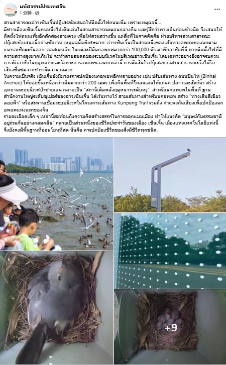“這是給全世界城市的一個絕佳範例” 深圳一次暖心“拒絕”引發海外網友熱議