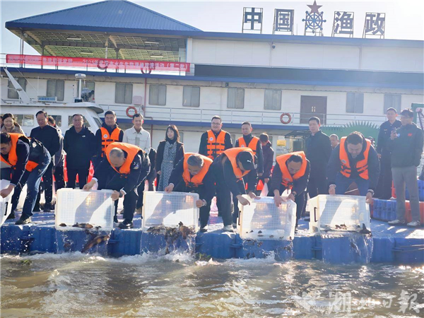 武漢放流40萬尾珍貴魚苗 助力長江生物多樣性恢復