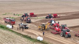 蚌埠市五河縣：小麥播種忙