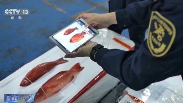 視頻丨年貨“涌進來”,中國味“走出去” 解鎖春節消費的雙向活力