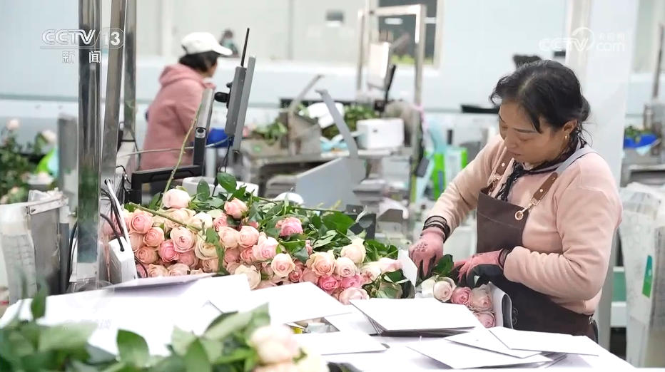 焦點訪談|“幸福産業”書寫鄉村振興“花樣”答卷