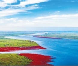 精細治理,守護碧海藍天(美麗中國)