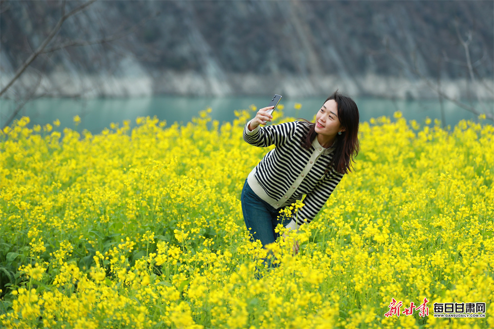 油菜花開引客來 隴南文縣釋放文旅新活力_fororder_1