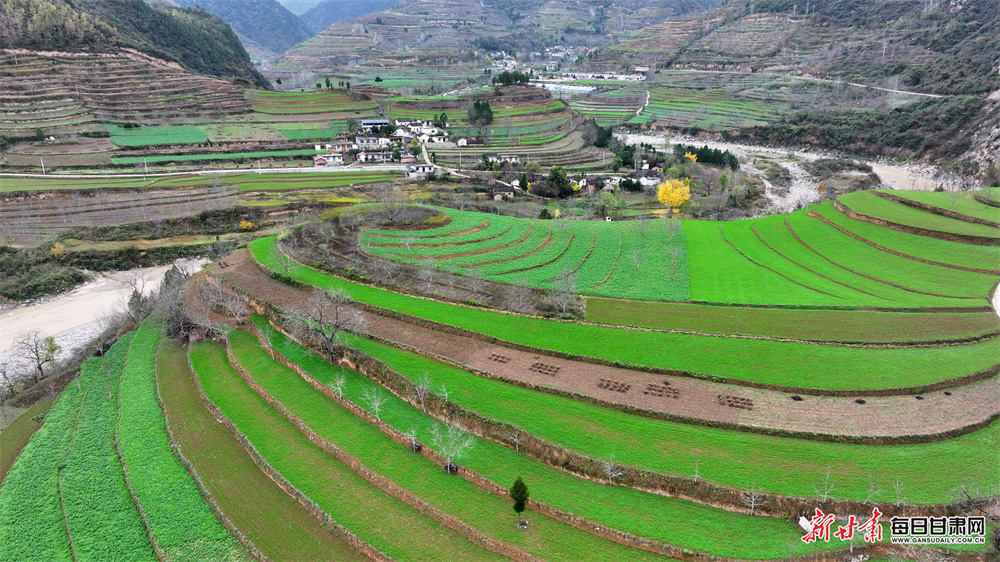 隴南康縣迷壩冬日鄉村風景獨好