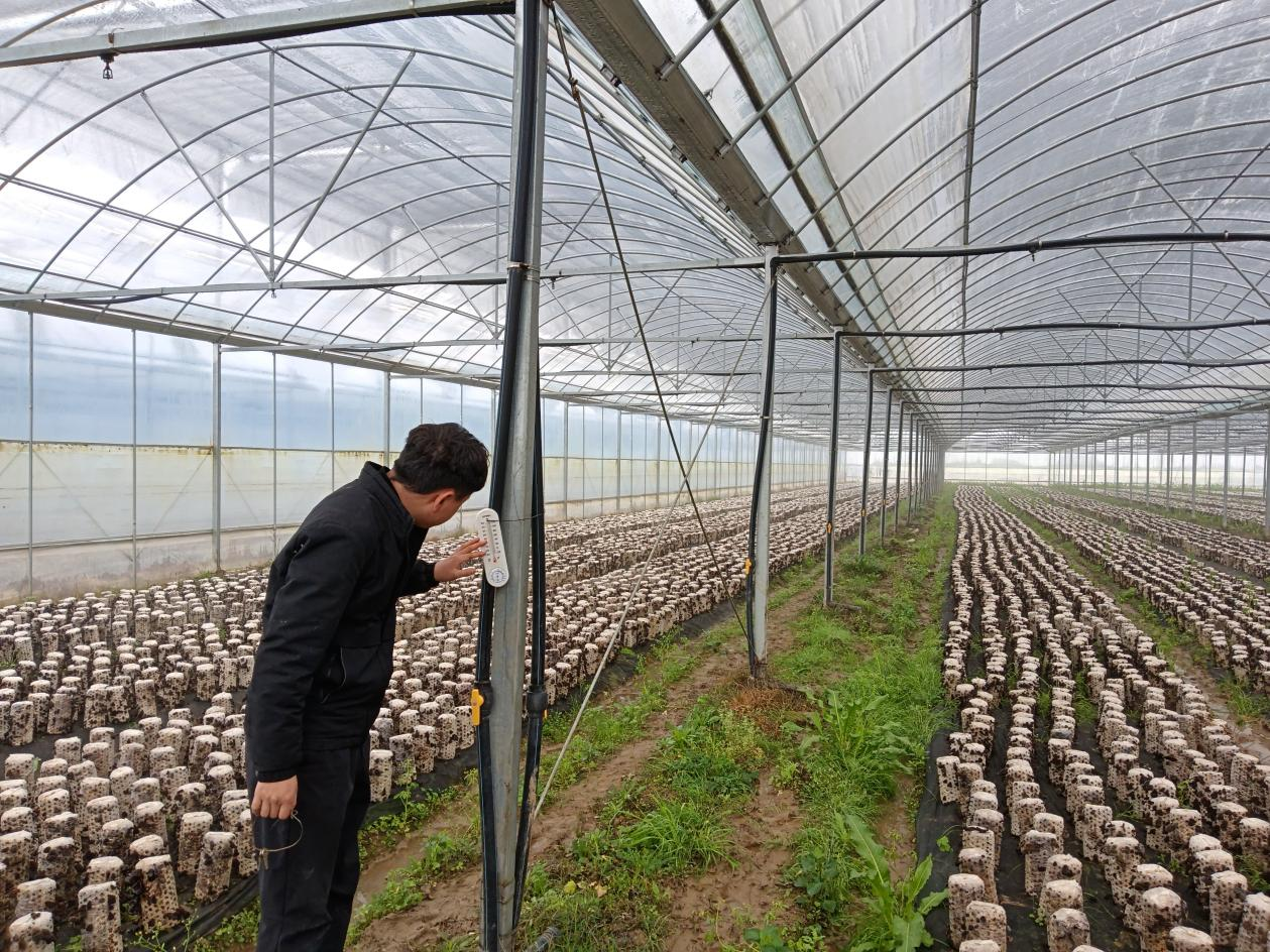 湖南耒陽以科技賦能農業 繪就春耕新圖景_fororder_2