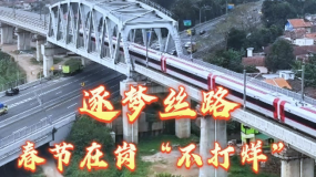 逐夢絲路 春節在崗“不打烊”_fororder_企業微信截圖_20260211111347