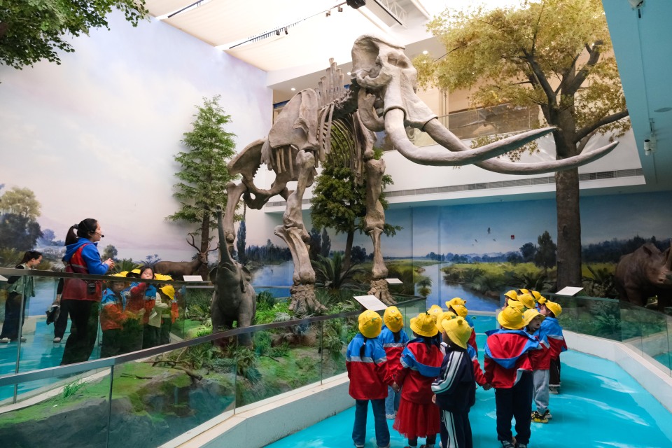 安徽五河:萌娃探密 淮河文化_fororder_DSCF4714