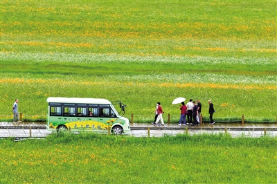 雨中漫遊金蓮川_fororder_4131345_wangxia_1753625247967_b
