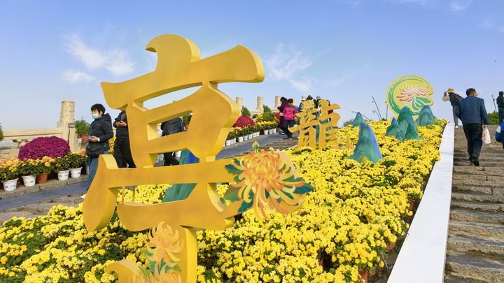 新華走筆丨一城菊香文韻新
