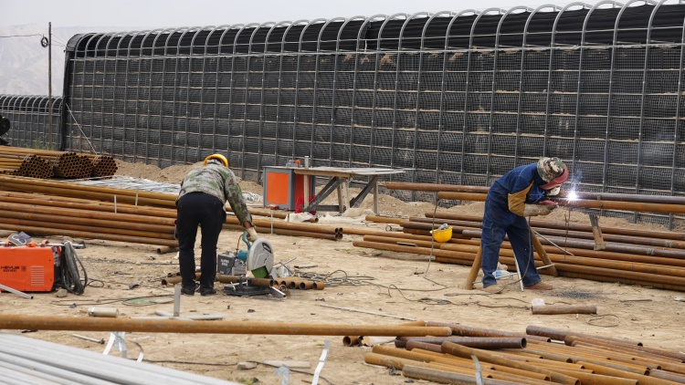 臨夏永靖:東西部協作架起“致富橋” 永靖縣蔬菜産業基地煥新升級再加速_fororder_14