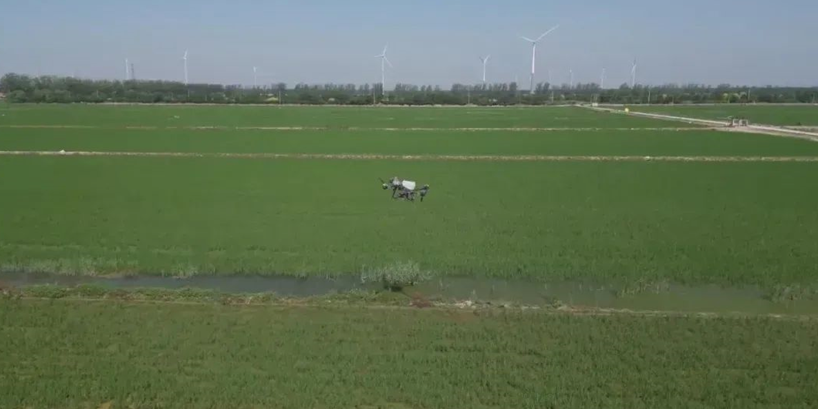 天津市首屆農業無人機創新應用大會在寧河區舉行