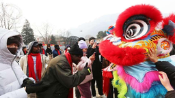 津彩過大年 | 留學生走進天津薊州 解鎖中國年味密碼